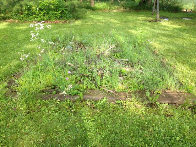 Here's the before picture. Our Fairy Garden was overgrown and full of sticks/weeds.